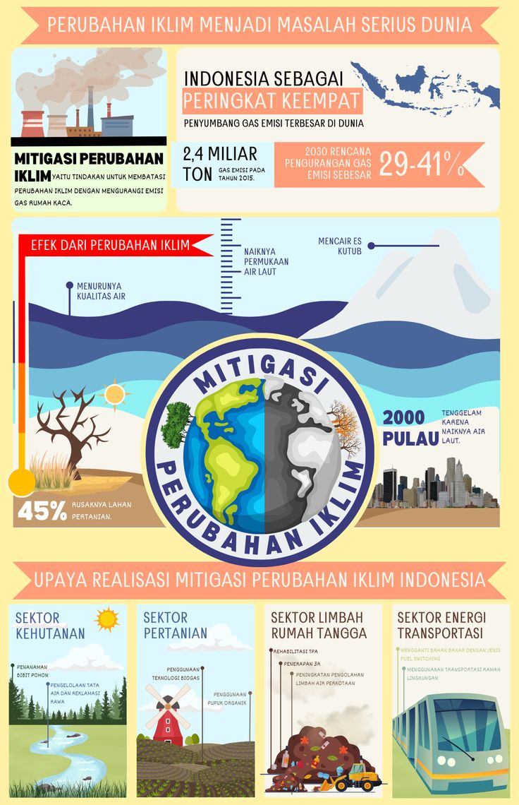 Litigasi iklim