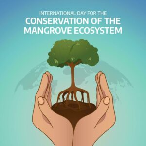 Menjaga Laut, Mangrove, & Karbon Biru